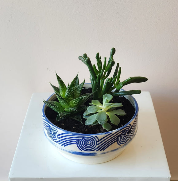 Mini Succulent Planter