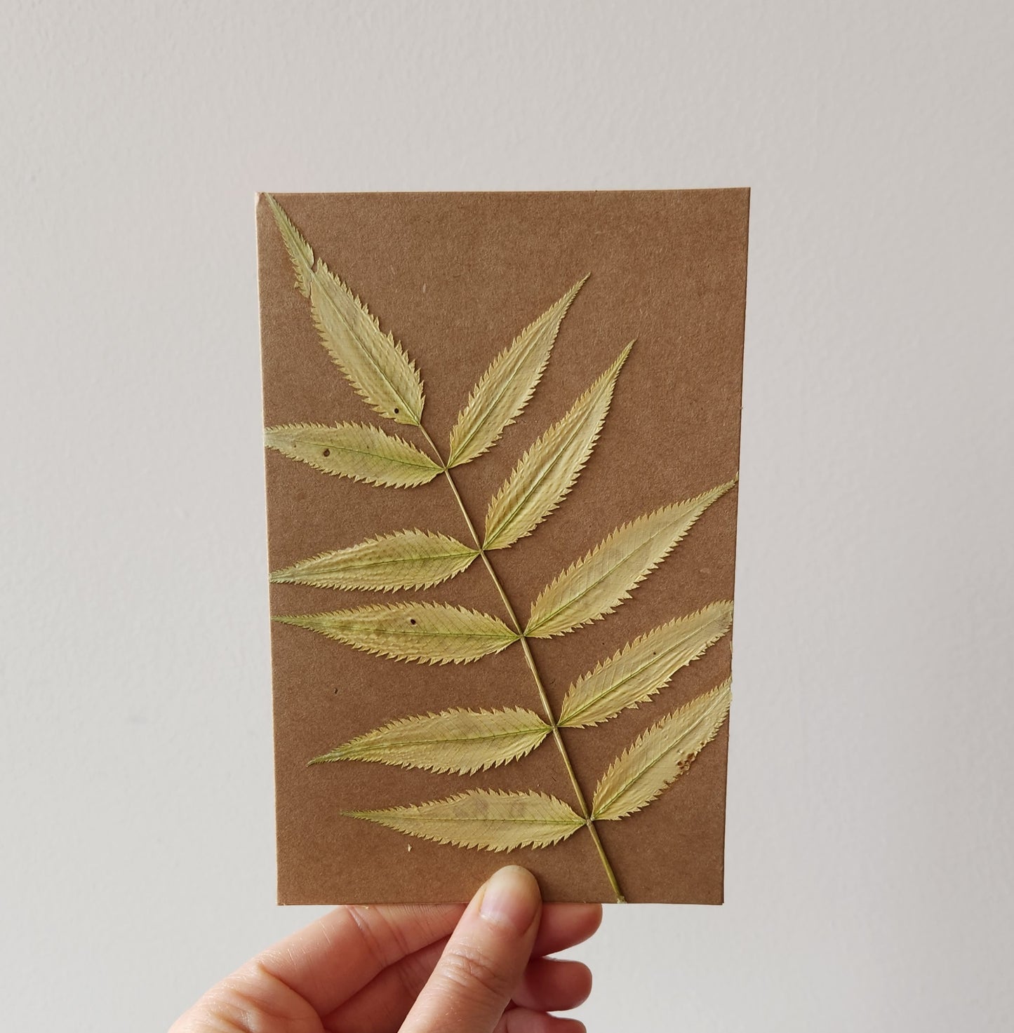 Pressed Botanical Card