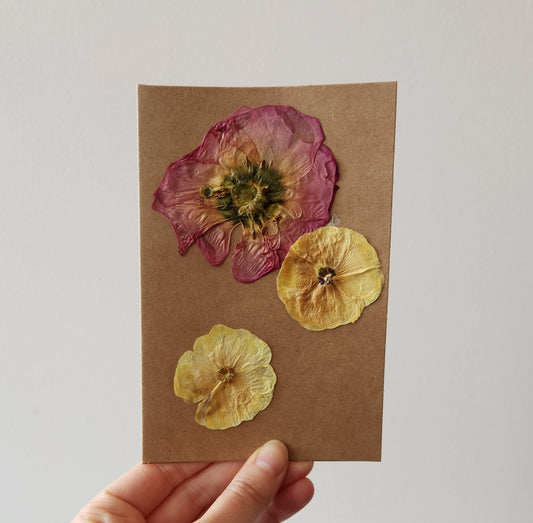 Pressed Flower Card