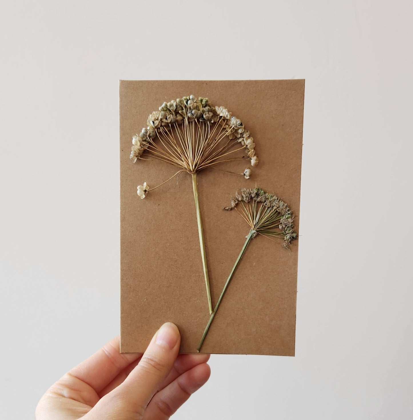 Pressed Botanical Card