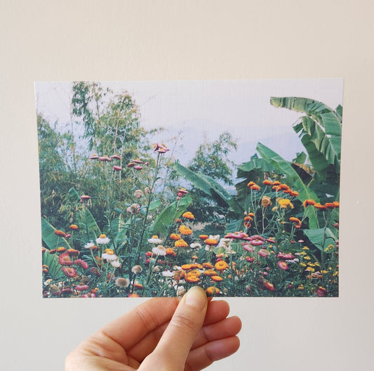 Golden Everlasting Pai Postcard