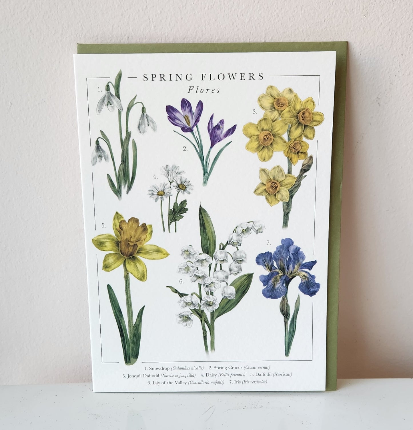 Spring Flowers Card