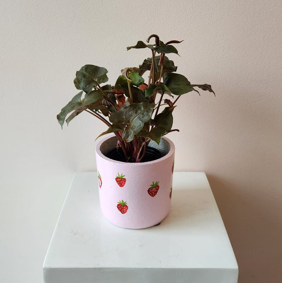 Hand-Painted Strawberry Pot