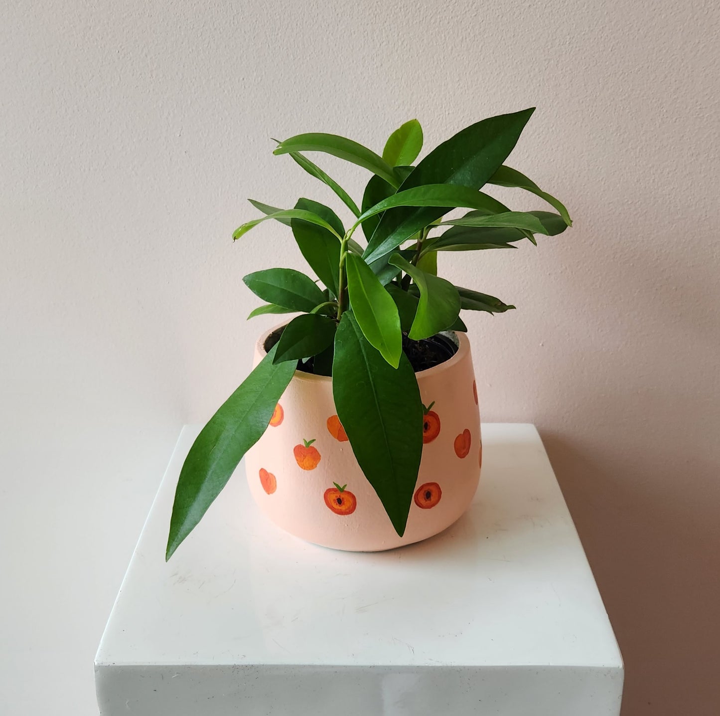 Hand-Painted Peach Pot