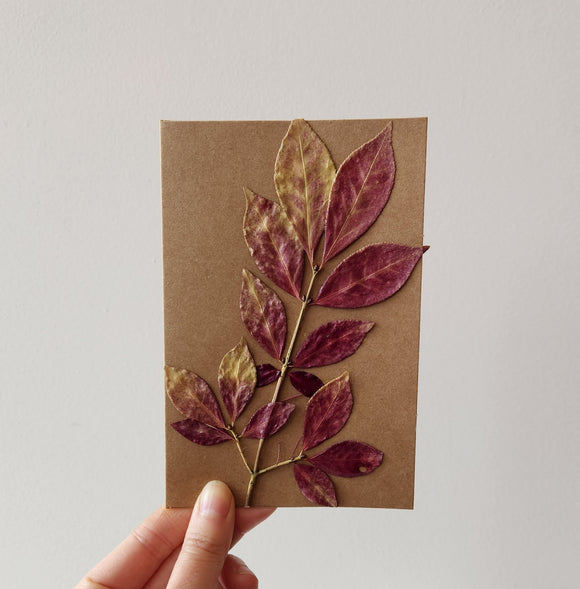 Pressed Botanical Card