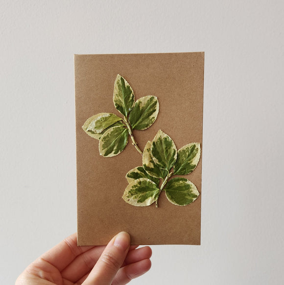Pressed Botanical Card