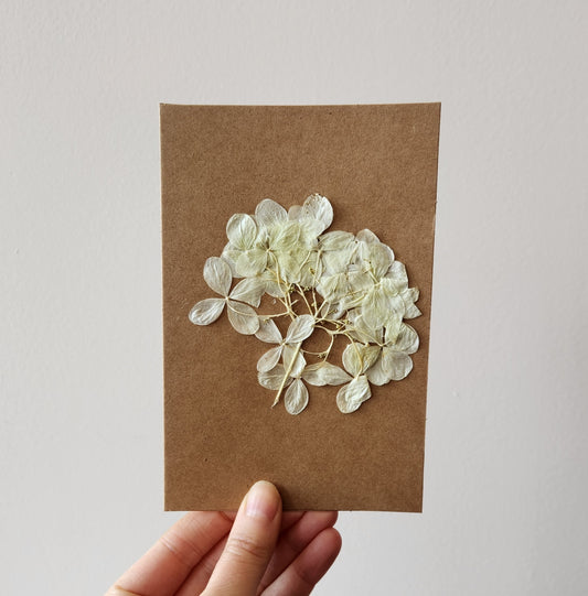 Pressed Hydrangea Card