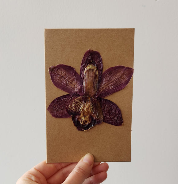 Pressed Orchid Card