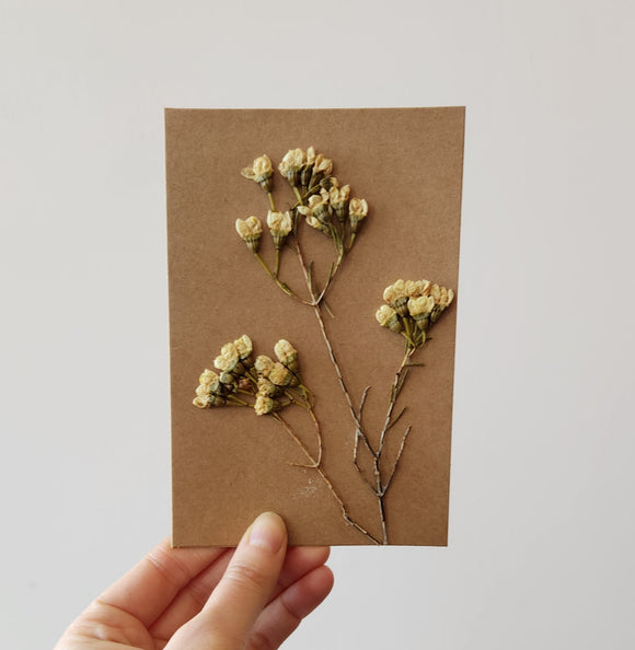 Pressed Wax Flower Card