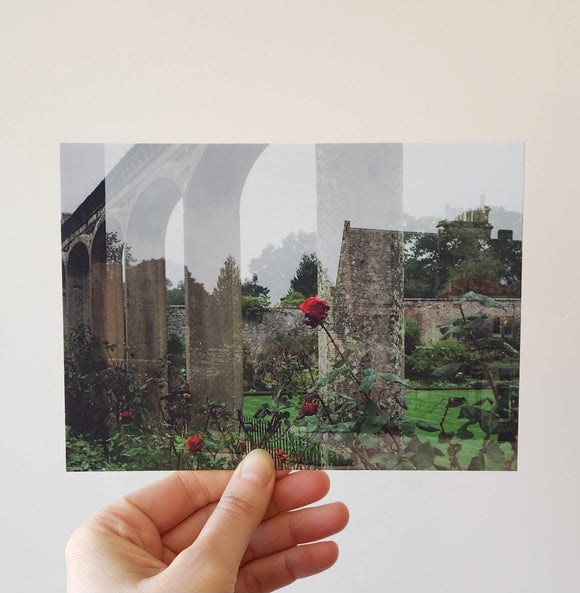 Scottish Rose Garden Postcard