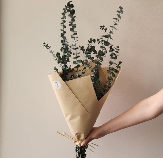 Dried & Preserved Eucalyptus Bundle