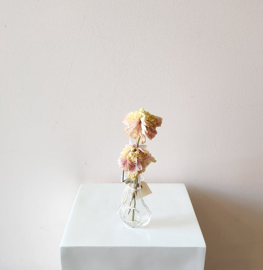 Baby Peach Dried Bud Vase