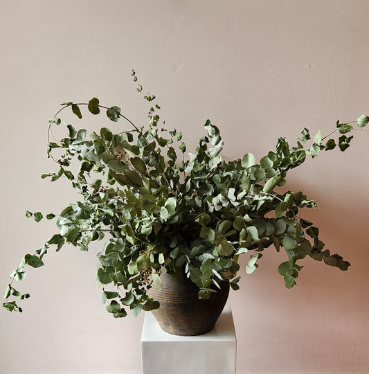 Large Pot of Dried Eucalyptus