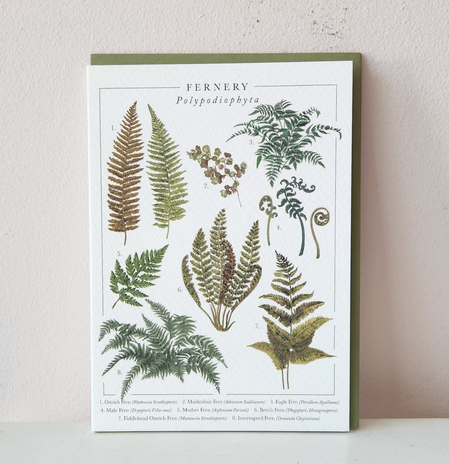 Fernery Card
