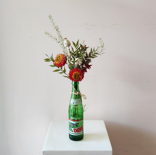 Summer Soda Dried Bud Vase