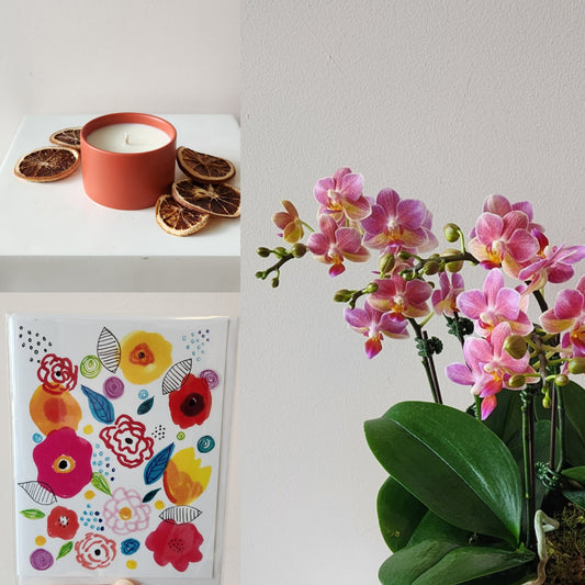 In Bloom Gift Set