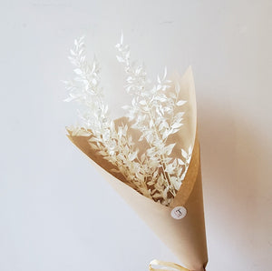 Bleached Ruscus